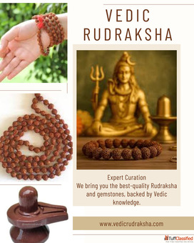 The Ultimate Guide to 11 Mukhi Rudraksha Benefits in Haridwar How to Buy Authentic Beads Online