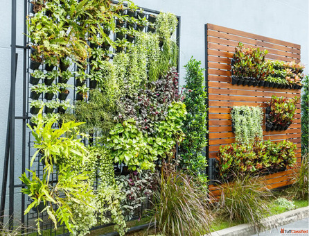 Transform Your Space with Vertical Gardens