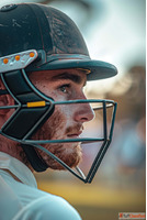 Dominate the Market with the Best Cricket Betting API - Only...
