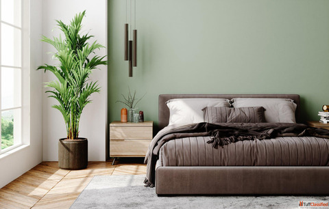 Bold Trendy Men's Bedroom Color Schemes for 2025