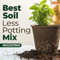 Best Soil Less Potting Mix