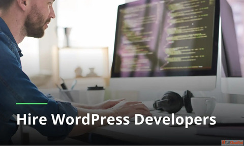 Expert WordPress Development in Ahmedabad