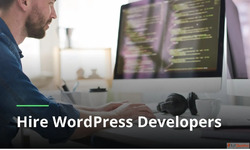 Expert WordPress Development in Ahmedabad