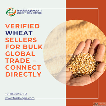 Verified Wheat Sellers for Bulk Global Trade - Connect Directly