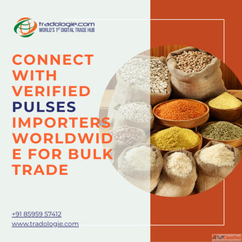 Connect with Verified Pulses Importers Worldwide for Bulk Trade