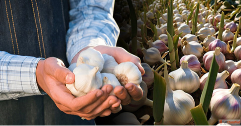 रब सजन म लहसन क खत क शरआत कस कर 5 आसन और जरर टपस