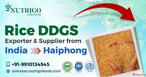 Nutrigo Feeds - Best Rice DDGS Exporter Supplier from India to Haiphong