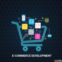 Best Shopify Website Development Service in Bangalore