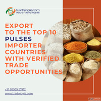 Export to the Top 10 Pulses Importer Countries with Verified...