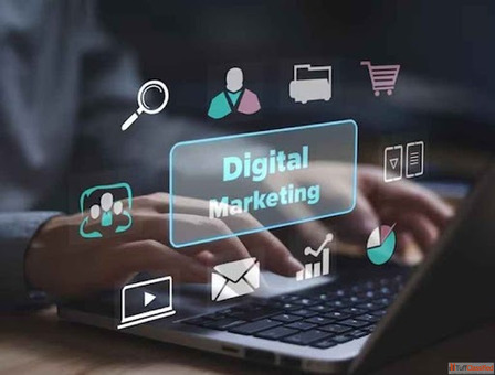 Boost Your ROI with Professional Digital Marketing Agency Services