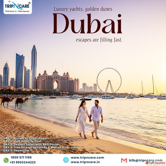 Top Things to Do in Dubai Attractions Travel Tips Must-Visit Places