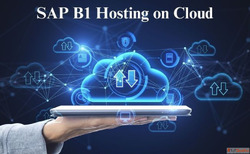 SAP B1 Hosting on Cloud Secure ERP Hosting Services