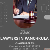 High court advocate in Haryana