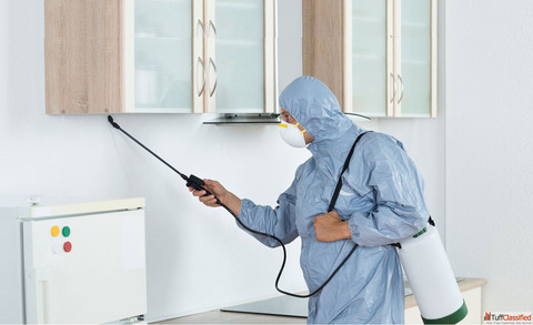 Affordable Pest Control in Lucknow