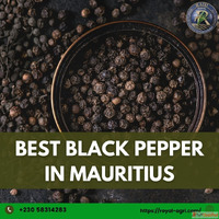 Best Black Pepper in Mauritius