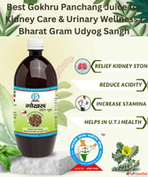Best Gokhru Panchang Juice for Kidney Care Urinary Wellness ...