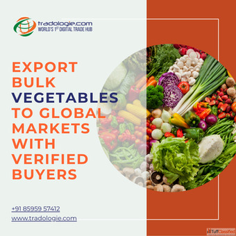 Export Bulk Vegetables to Global Markets with Verified Buyers
