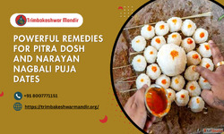 Powerful Remedies For Pitra Dosh And Narayan Nagbali Puja Da...