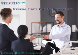 Professional PRO Services in UAE - Hassle-Free Setup