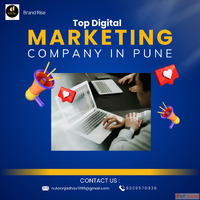 Top Digital Marketing Company in PuneBrand Rise