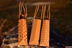Choosing a Greener Path The Impact of Paper Bags