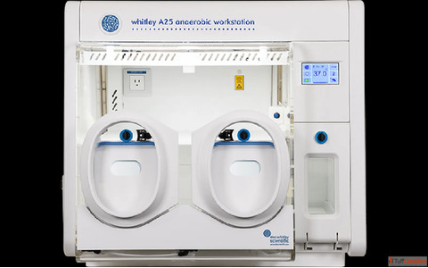 Buy Whitley anaerobic workstation