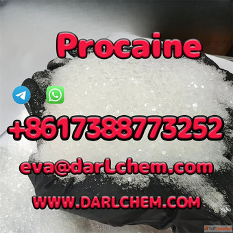 Procaine Powder Factory Supply Bulk 99 Purity Injection