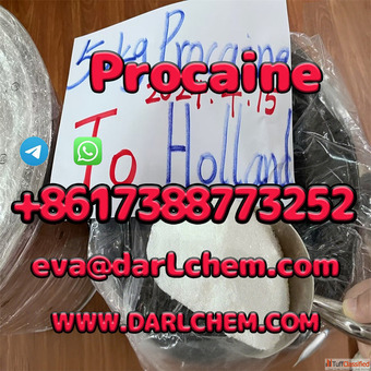 Procaine Powder Factory Supply Bulk 99 Purity Injection