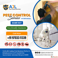 Best Pest Control Services in Hyderabad
