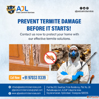 Termite Control Services in Hyderabad