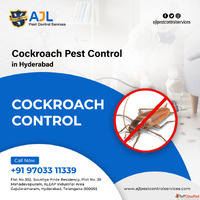 Cockroach Pest Control Hyderabad