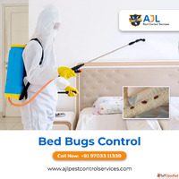 Bed Bug Pest Control Services Hyderabad