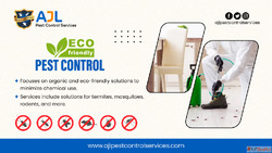 Pest Control Services in Kondapur