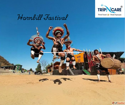 Hornbill Festival 2025 - Dates Location Events Travel Guide to Nagaland's Grand Celebration