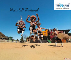 Hornbill Festival 2025 - Dates Location Events Travel Guide ...