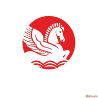 PP Sheet Advantages Transforming Industrial And Commercial A...