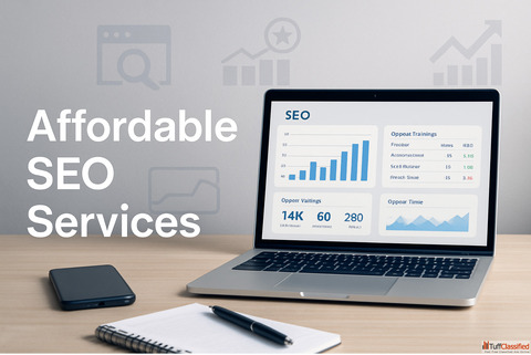 ecommerce seo service india