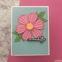 Make Die Cuts Stand Out with Complementary Cardstock Colors