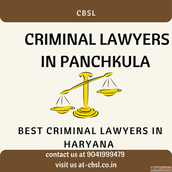 Criminal lawyer in Panchkula
