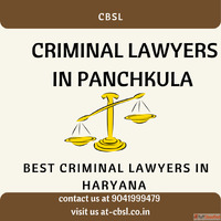 Criminal lawyer in Panchkula