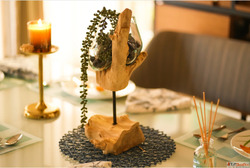 Nature's Touch Artistic Elegance with STICK GLASS ROOTS