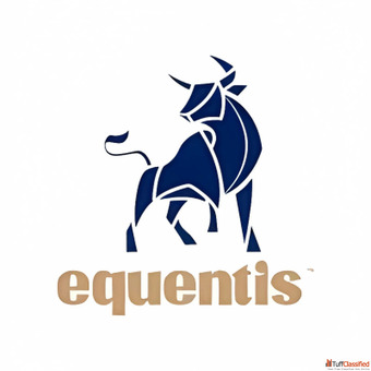 Equentis Unlisted Shares A Hidden Gem in Investing