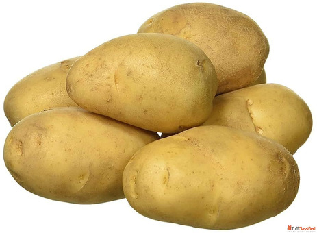 Fresh Potato Suppliers in Gujarat
