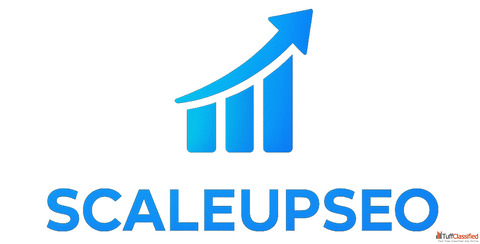 Best Digital Marketing Agency in Palam Dwarka Delhi - ScaleUpSEO