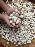 Makhana or Fox Nuts or Gorgon Nuts