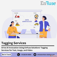 Drive AI Innovation Using the Best Tagging Services from EnF...