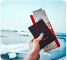 Looking for a cheap air ticket in NZ
