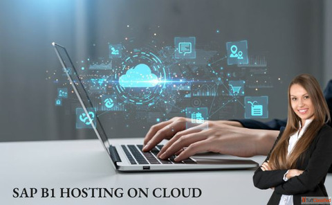 SAP B1 Hosting on Cloud Affordable Reliable Hosting