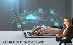 SAP B1 Hosting on Cloud Affordable Reliable Hosting
