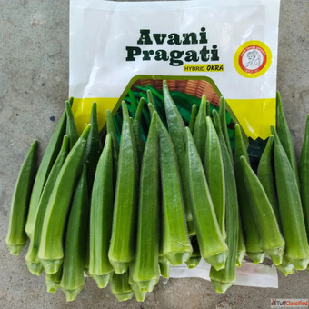 India's Best Source for Vegetable Seeds